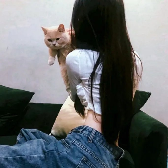 荼靡